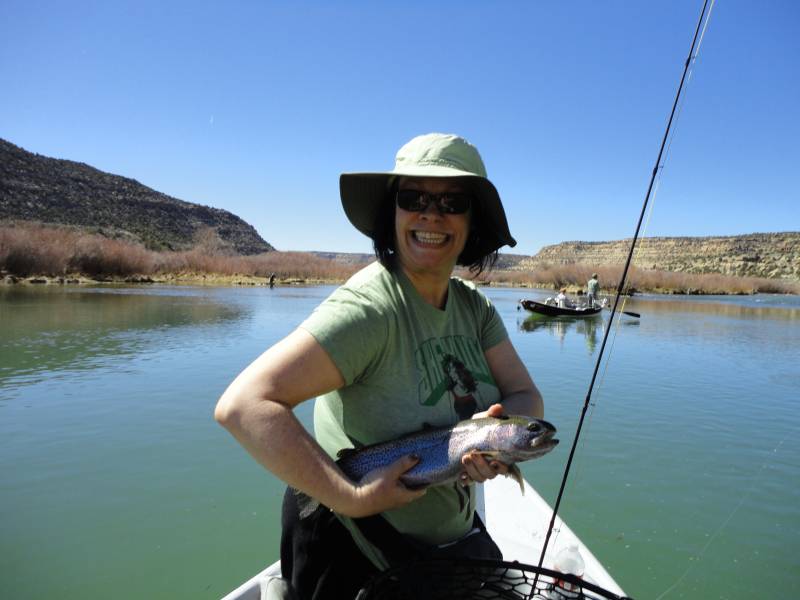 Rainbow trout in New Mexico