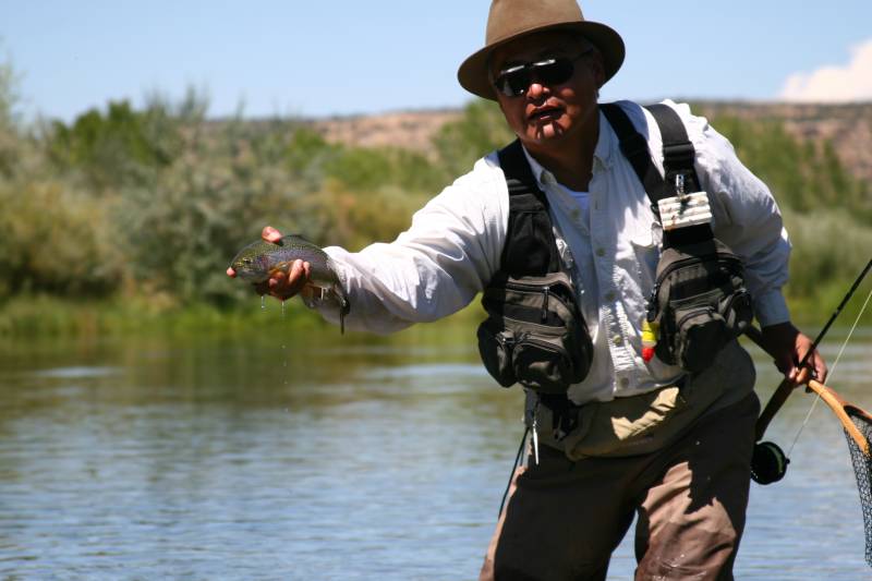 Rainbow trout in New Mexico