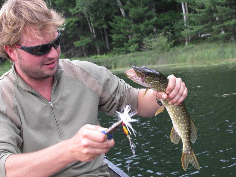 Northern pike in Gladstone