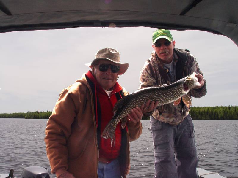 Northern pike in Minnesota