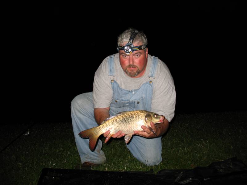 Common carp in Springboro