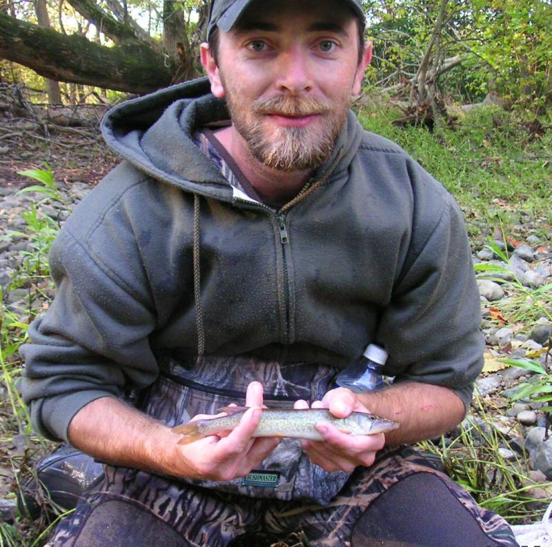 Chain pickerel in Sunbury