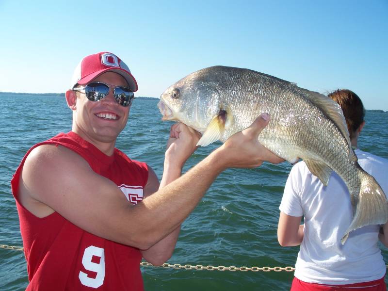 Freshwater drum in Bellevue