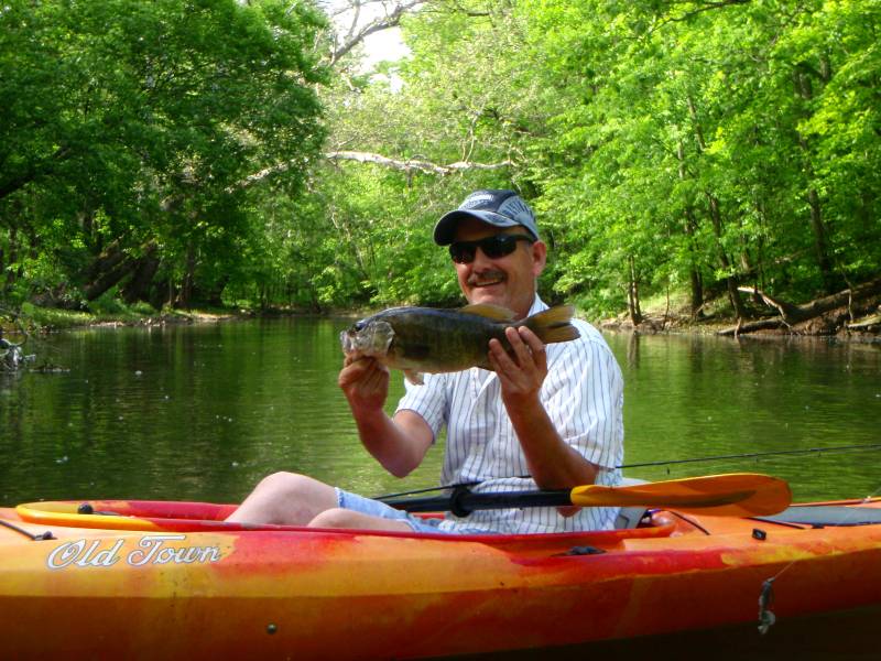 Smallmouth bass in Sunbury