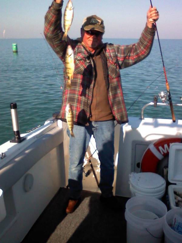 Yellow perch in Toledo
