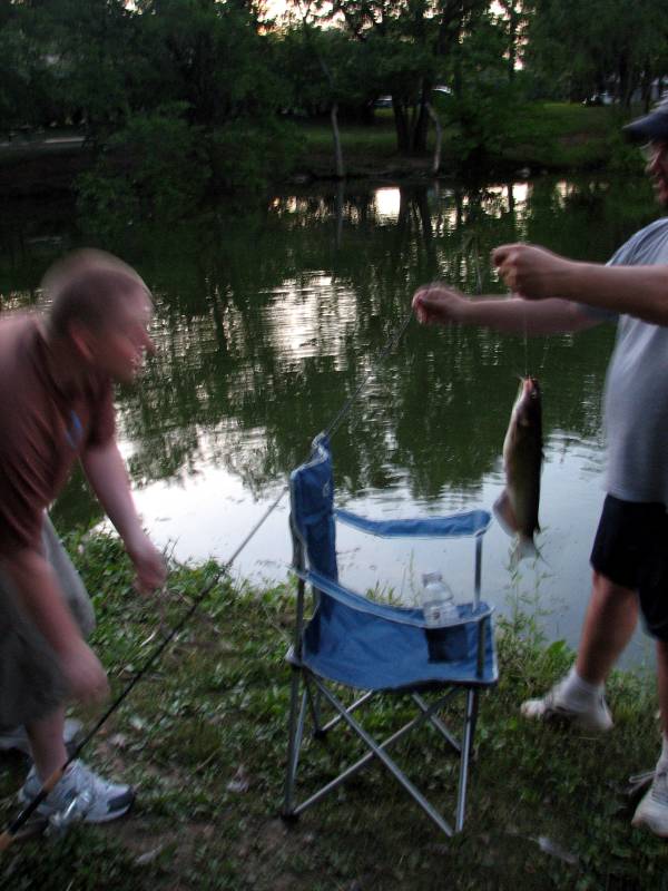 Channel catfish in Sunbury
