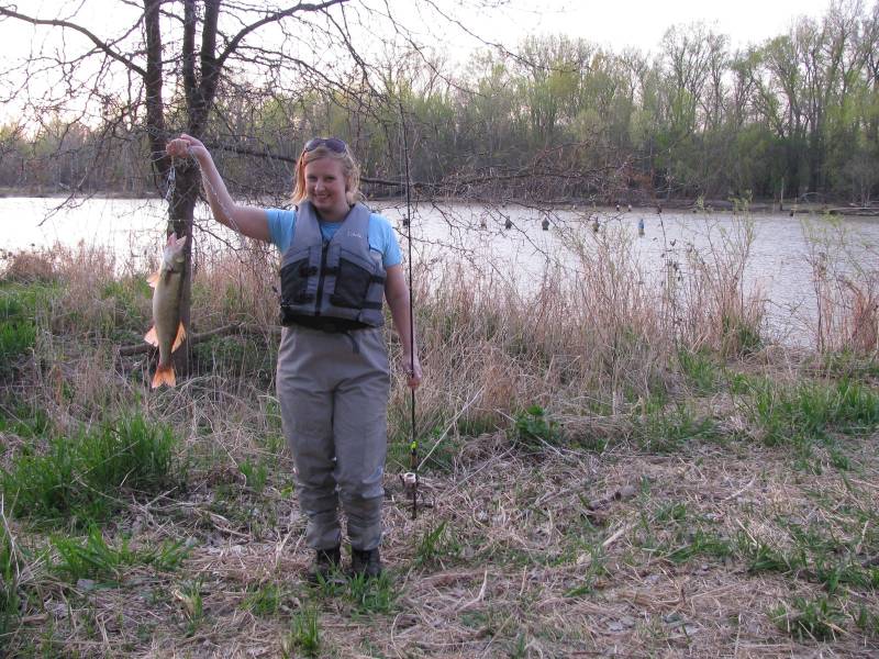 Walleye in Toledo