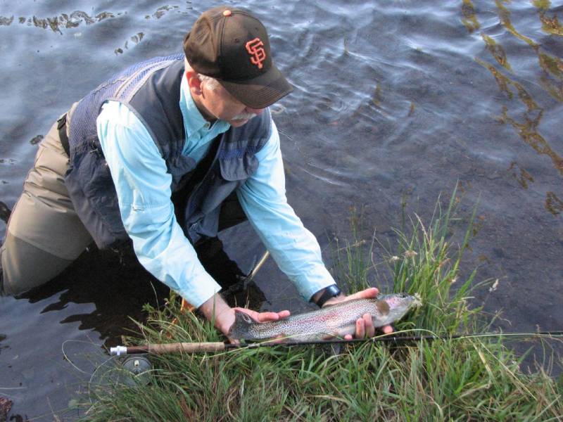 Rainbow trout in Culver