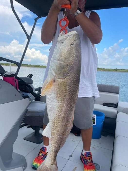 Red drum  (Redfish) in Texas