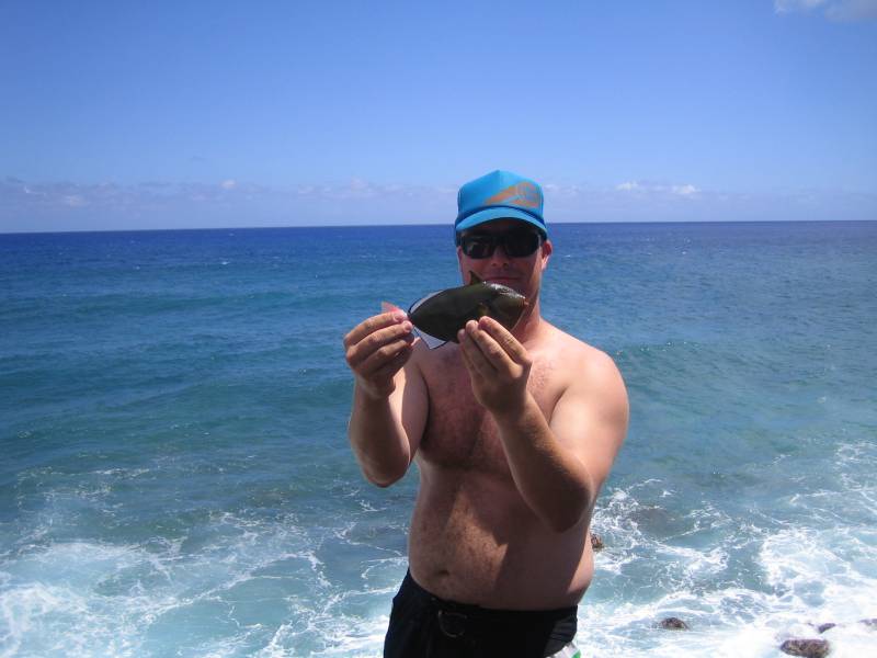 Triggerfish in Hawaii