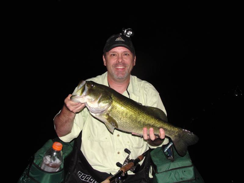 Largemouth bass in Newark