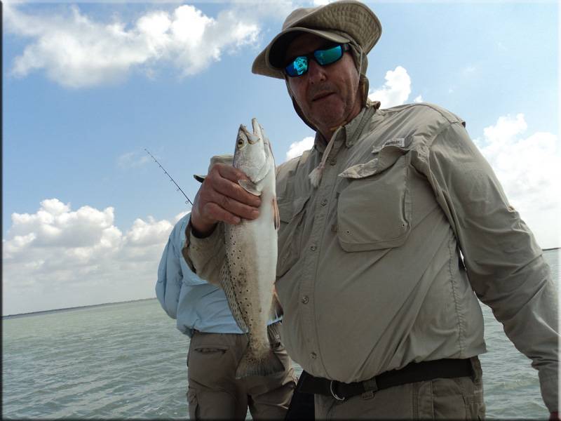 Speckled Trout in Fulton