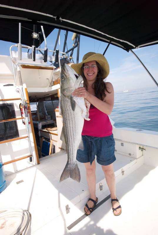 Striped bass in Rahway