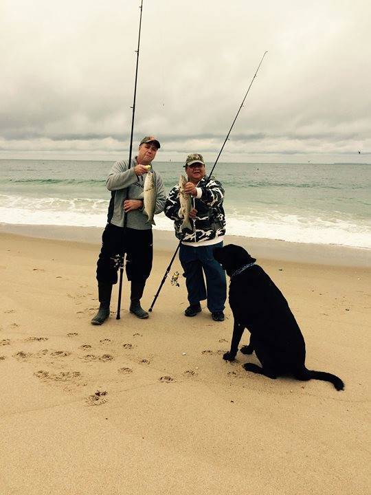 Striped bass in Warwick