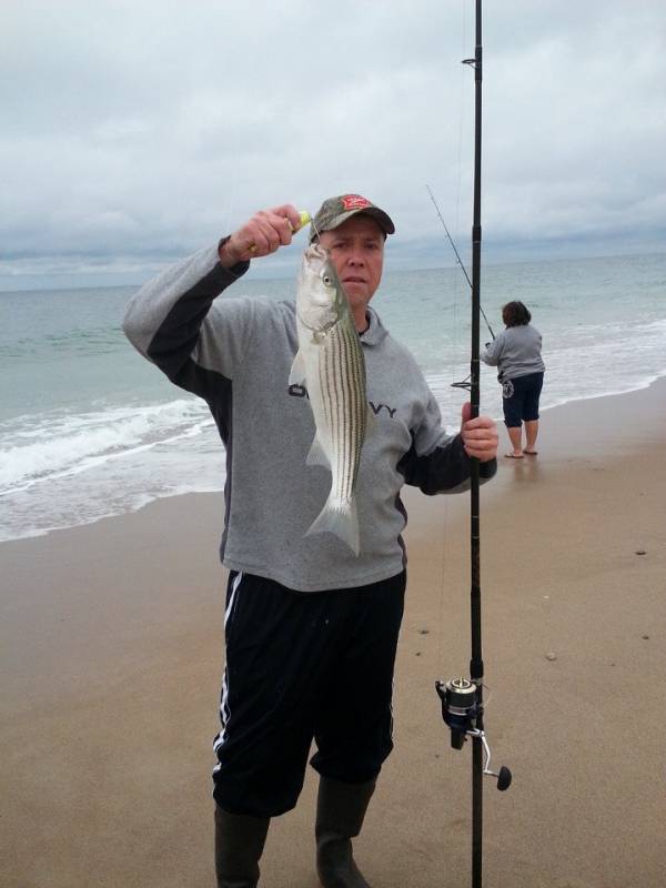 Striped bass in Warwick
