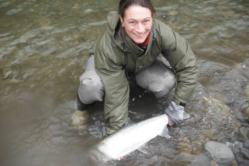 Steelhead in Washington