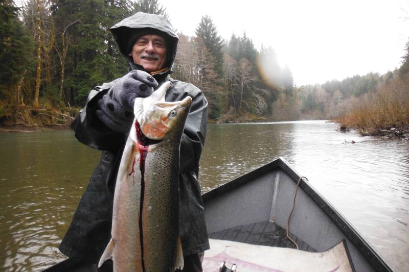 Steelhead in Washington
