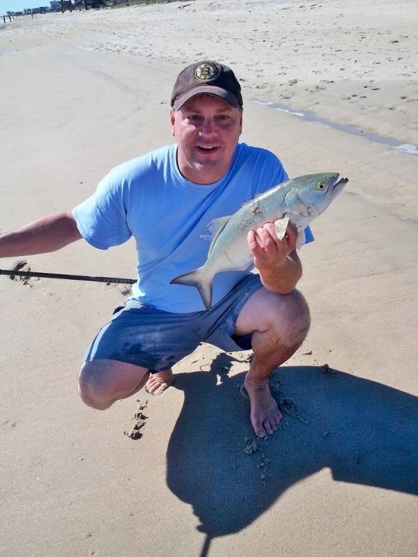 Bluefish in Warwick