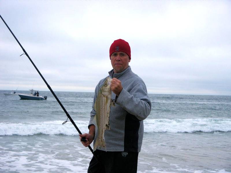 Striped bass in Village of Greenport