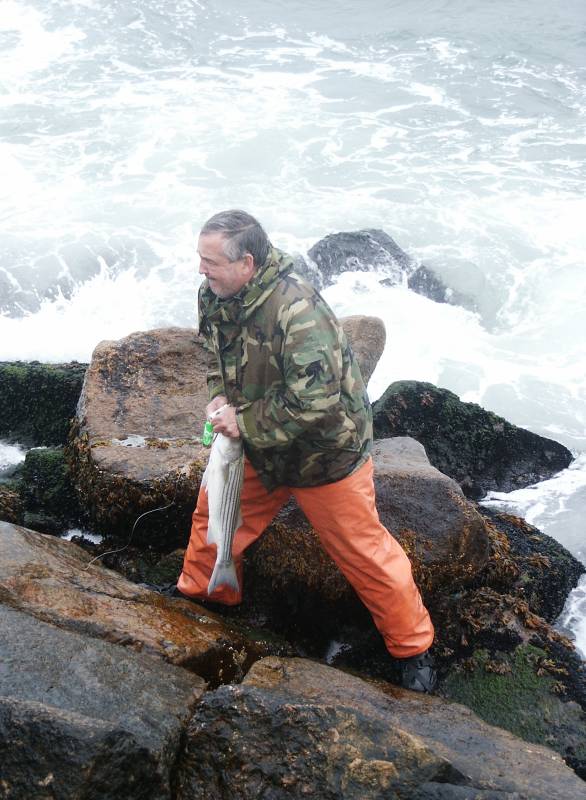 Striped bass in Warwick