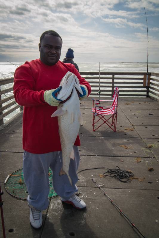 Red drum  (Redfish) in Taft