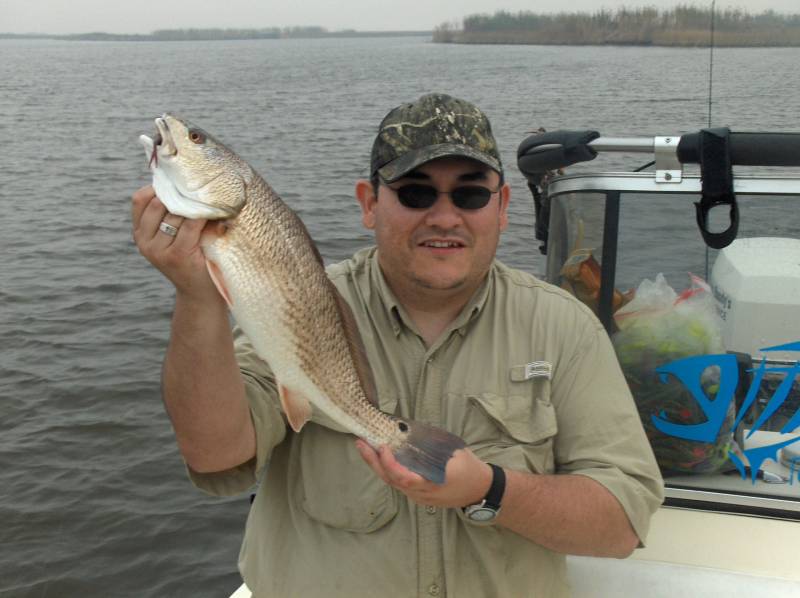 Red drum  (Redfish) in Taylor Landing