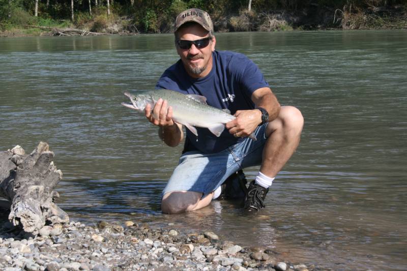Pink salmon in Edison