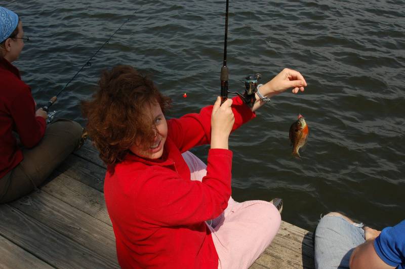 Bluegill in Johnstown
