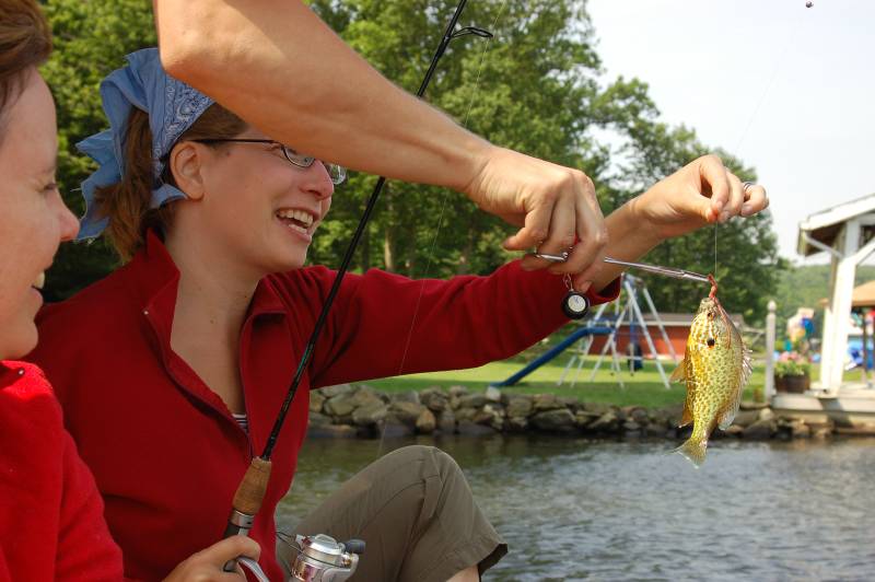 Bluegill in Johnstown