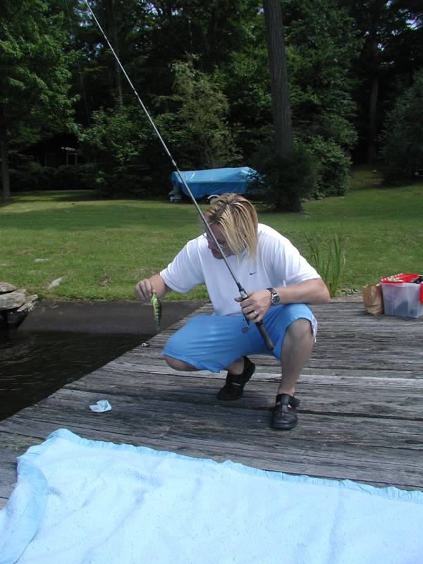 Yellow perch in United States