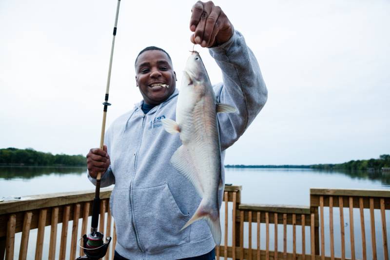 Blue catfish in United States