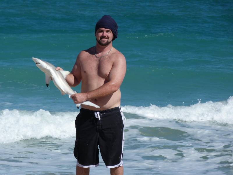 Blacktip shark in Indian River County