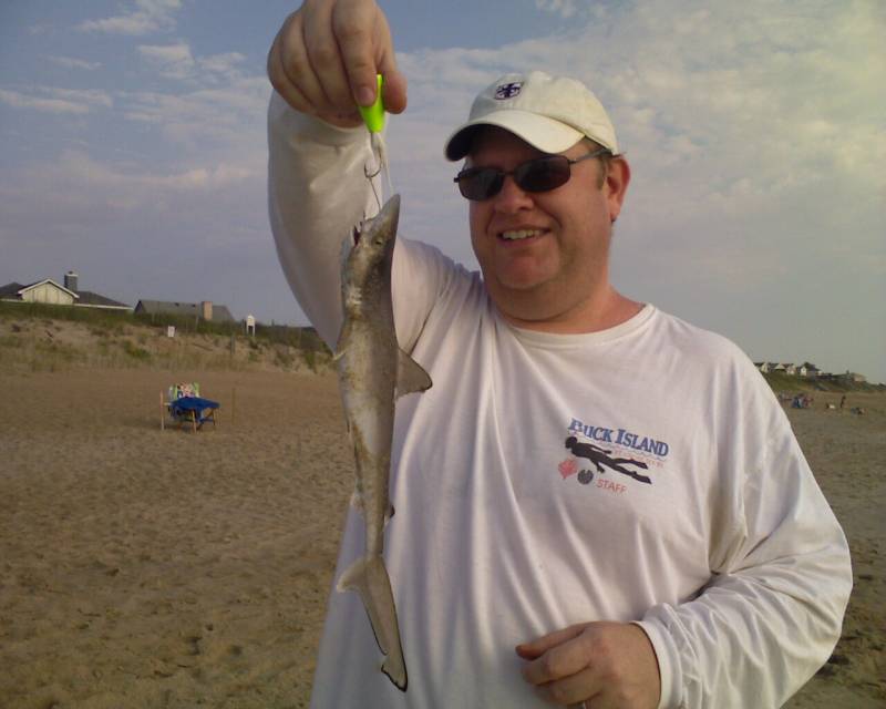 Blacktip shark in Kitty Hawk