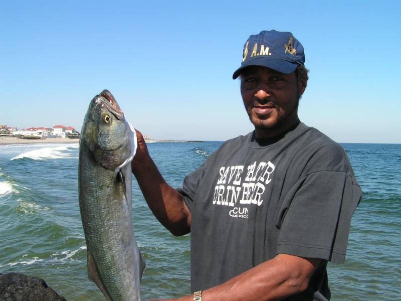 Bluefish in Rahway