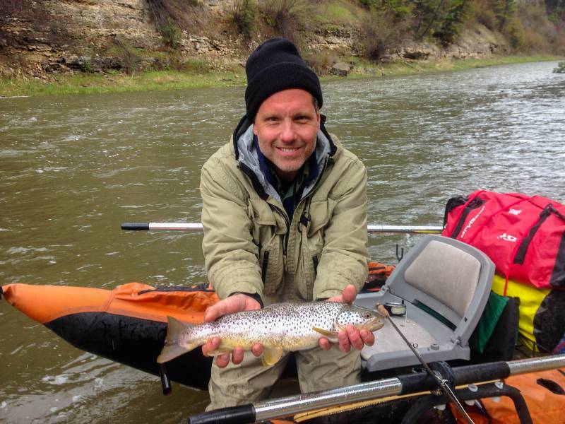 Brown trout in Meagher County