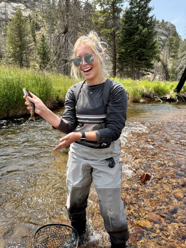 Brook trout in Boulder
