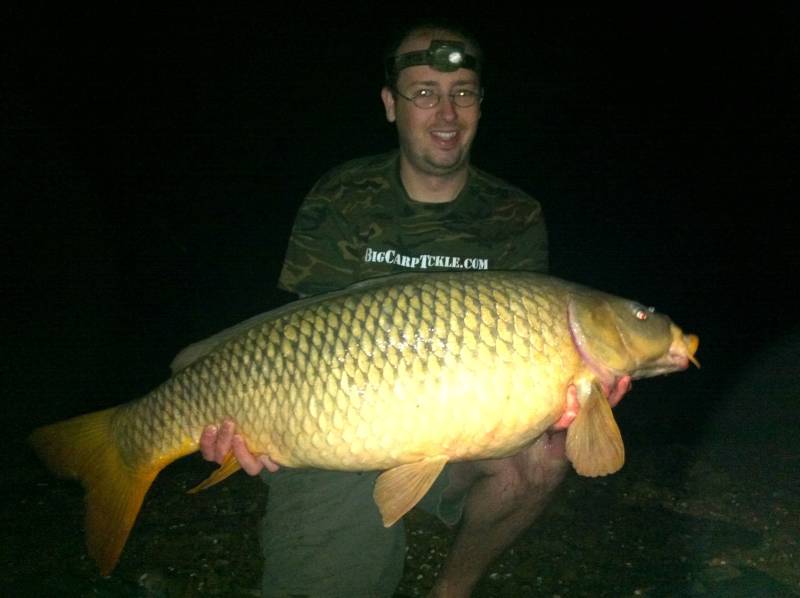 Common carp in Monticello