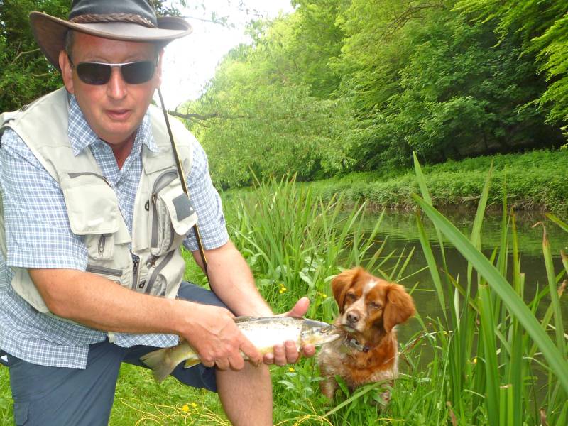 Brown trout in Alaska