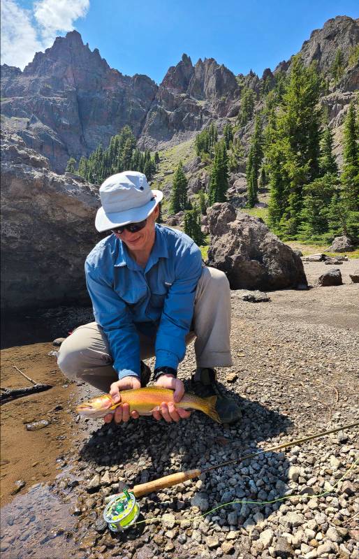 Cutthroat trout in California