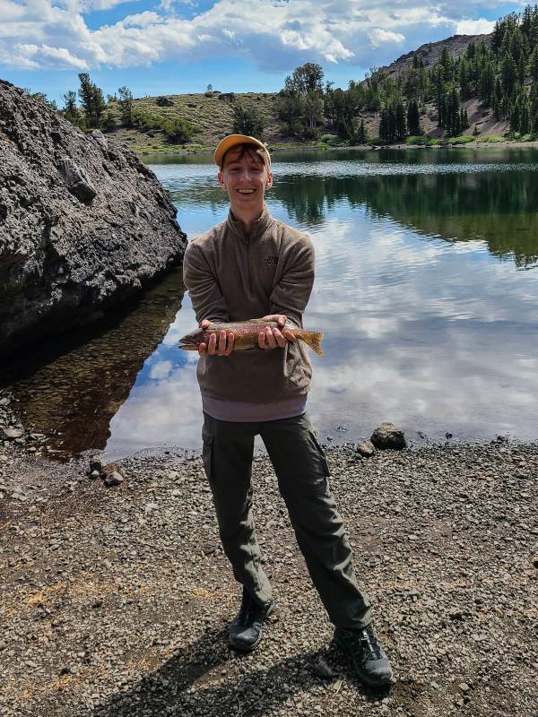 Cutthroat trout in California