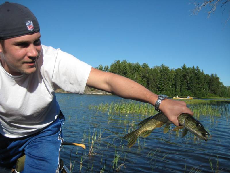 Northern pike in Minnesota