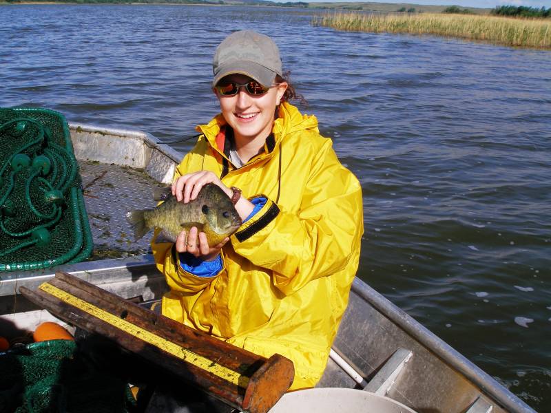 Bluegill in Nebraska