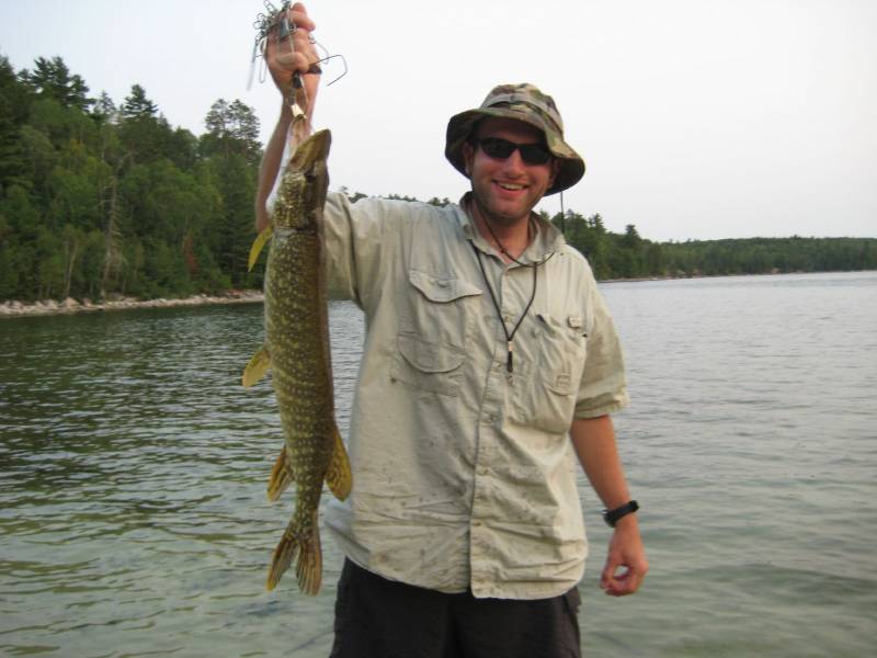Northern pike in Saint Louis County