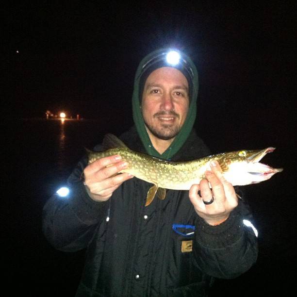 Northern pike in New Berlin