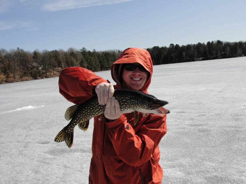 Northern pike in Wisconsin