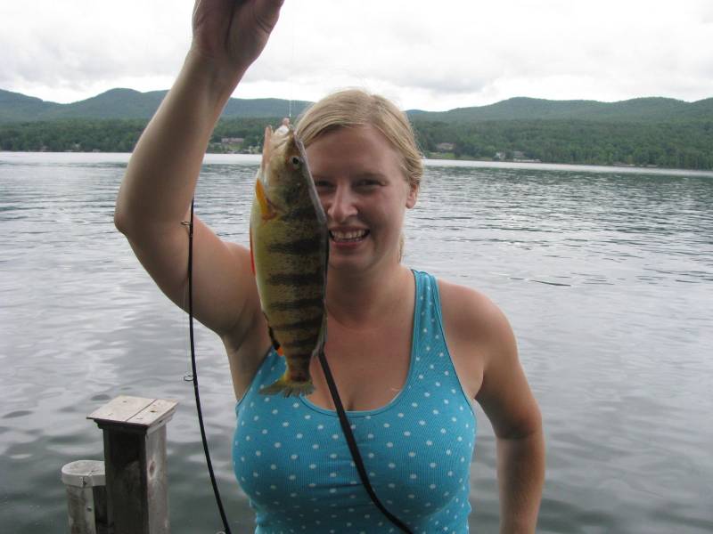 Yellow perch in Village of Corinth