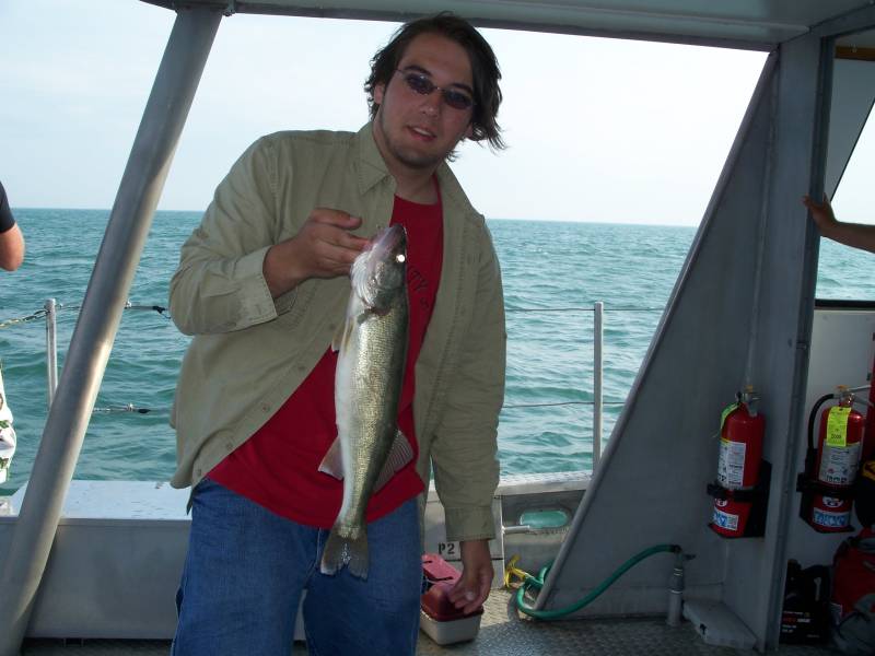 Walleye in Lake Erie