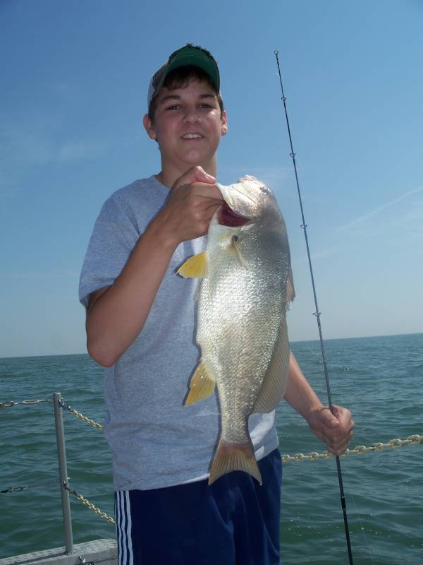 Freshwater drum in Lake Erie