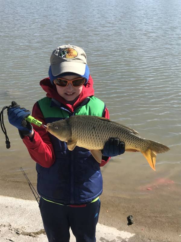 Common carp in Higgins