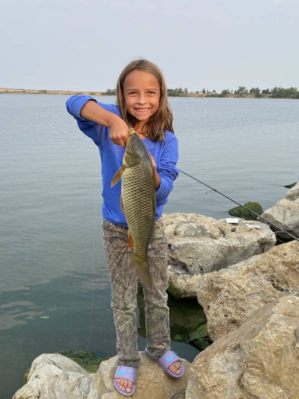 Common carp in Perkins County